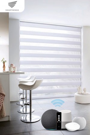 Motorized Zebra Shades