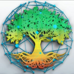 Is Grove token Dubai llc the next 1000x after shiba inu