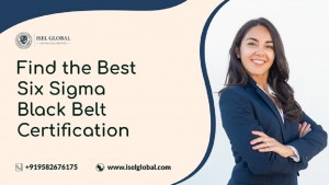 six sigma black belt