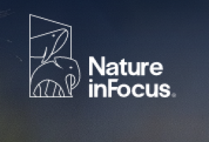 Nature inFocus Explores New Pit Viper Species and Plight of the Hornbills