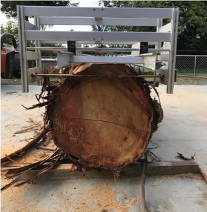Watts Chainsaw Mill USA Provides Solutions for Repurposing Downed Trees