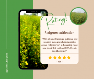 Our Customers Review.