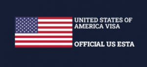 US Visa Online Gets The US Evisa Approved Within 48 Hours For International Visitors