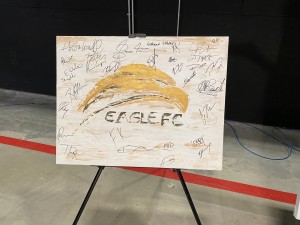 Eagle FC & Signe Art