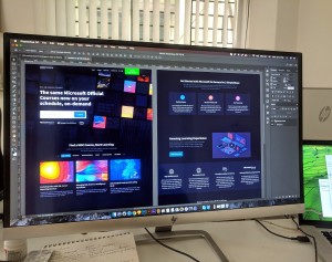 los gatos web designer