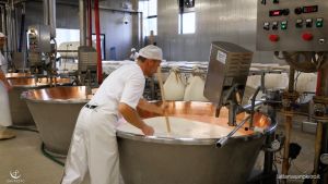 Grana Padano production in the brand new facility of LATTERIA SAN PIETRO this cheese is available in