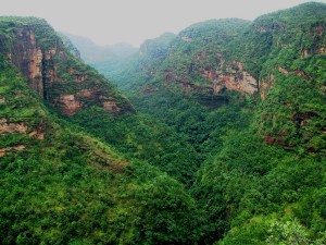 Pachmarhi Nature Reserve