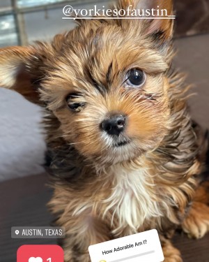 Perla before her near death Experience 