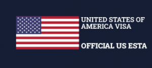 Get Your Travel Authorization With US Visa Online’s User-Friendly Application Process