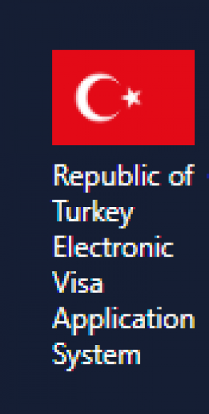 Travel To Turkey At Your Convenience With The Turkey Visa Online And Evisa Services