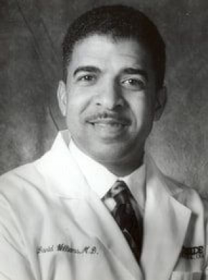 David M Williams MD