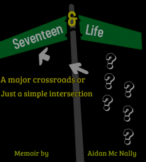 17 & Life, Memoir.