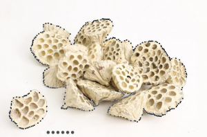 Clipping Path Services