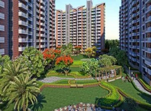 ashiana anmol sector 33 gurgaon