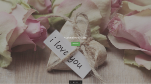 EliteDigitalMall.com Will Provide the Best Possible Online Shopping Experience!