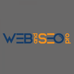 Web and SEO Pro Logo