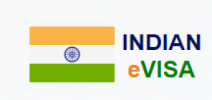 Enjoy The Benefits Of The India Business Visa, A Reliable Option For Global Businessmen