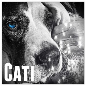 'Cati' by Ho Jo Fro