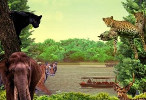 Think Wildlife Think Karnataka