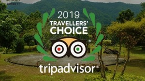 Top Resorts in Corbett