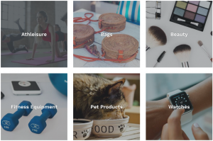 BEOWOLF Web Mall Will Provide the Best Possible Shopping Experience!