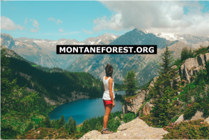 Drought In Germany Severely Affects Monoculture Forestry Agriculture And Population