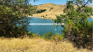 Drought In Germany Severely Affects Monoculture Forestry Agriculture And Population