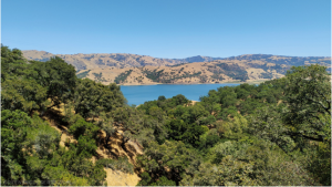 Drought In Germany Severely Affects Monoculture Forestry Agriculture And Population