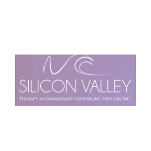 siliconvalleytcs logo