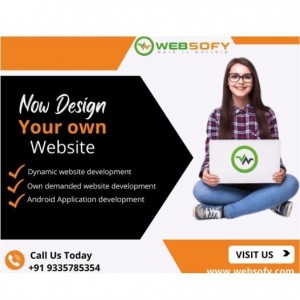 Website designing in Lucknow - Websofy