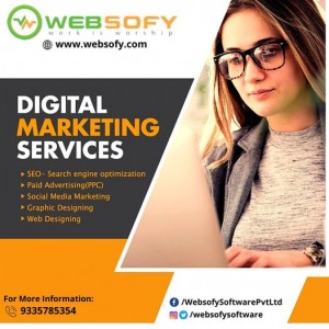 Website designing in Lucknow - Websofy