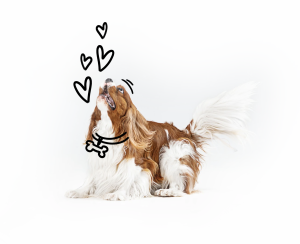 logo black and white BarkingTalk