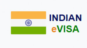 Applying For The Indian Visa For US Citizens Takes Time No Longer Than 5 Minutes 