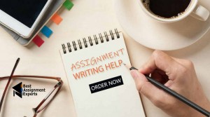 How To Write Management Assignment To Secure A+ Grade