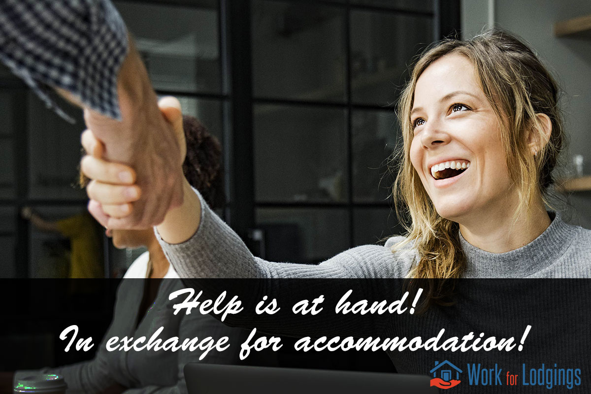 Make new friends on Work For Lodgings Make new friends on Work For Lodgings