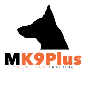 MK9Plus Logo