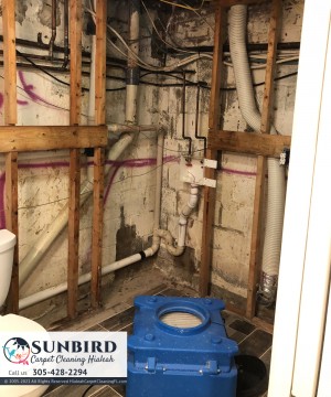 Mold Air Testing Sample