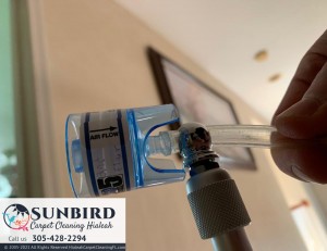 Mold Remediation Services