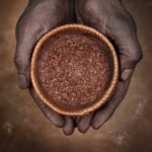 African Tribal Shaman Reveals Ancient Secret Formula For Concoction That Causes Safe Weight Loss