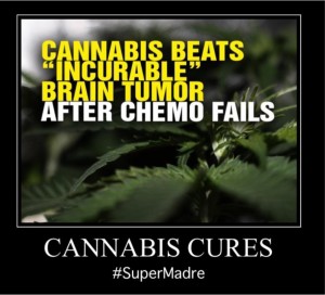 219375204 4495038893895013 5833374415424498063 n