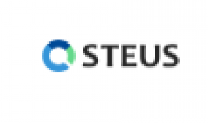 Design, Develop, And Brand Businesses Successfully With Steus Creative