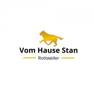 Vom Hause Stan 2