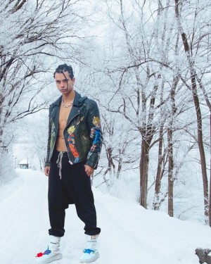 ‘Dandole’ by Cyrus Dobre