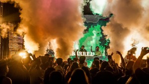 zaff is an experience