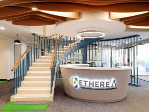 NFD in Noida NFD in Delhi