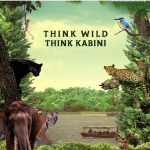 Think wild think kabini
