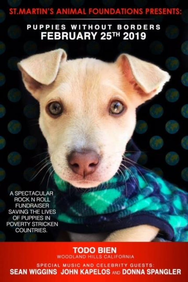 Furever homes Furever homes