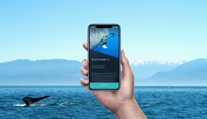 Nevermynd Marketing and Communications