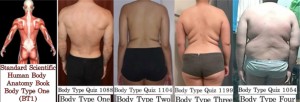 Comparing The Four Body Types Standard BT1 to BT1 BT2 BT3 BT4