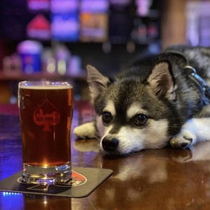 Seattle Brewery Passport